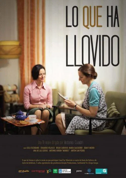 Постер: Lo que ha llovido