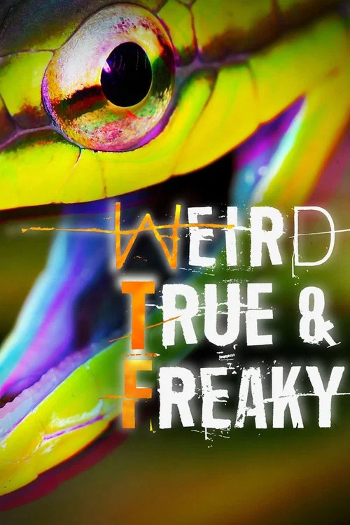Постер: Weird, True & Freaky