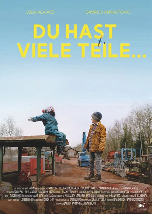 Постер: Du hast viele Teile