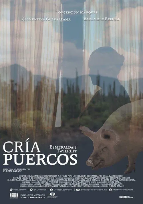 Постер: Cría puercos