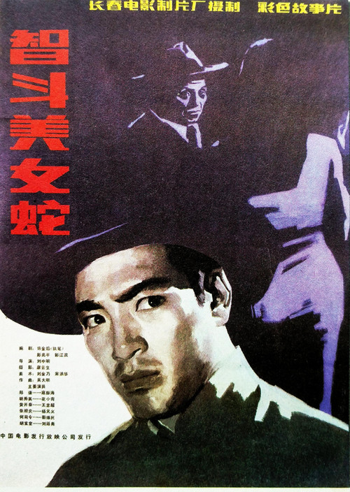 Постер: Zhi dou mei nu she