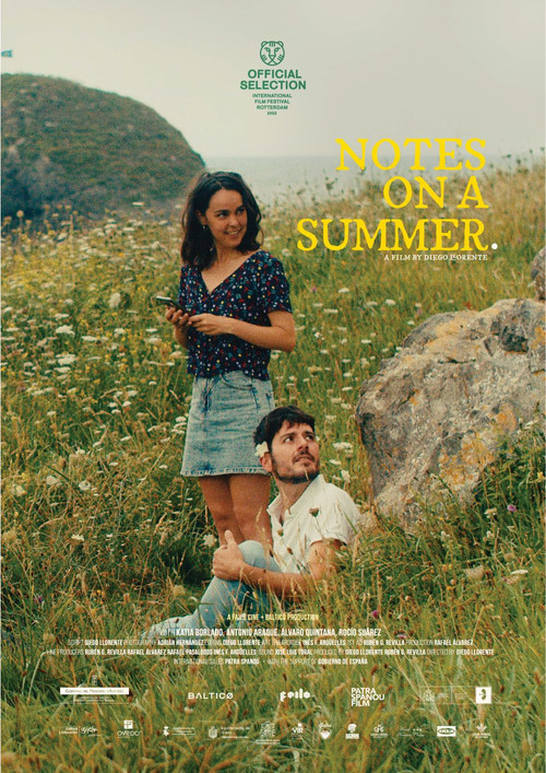 Постер: Notas sobre un verano