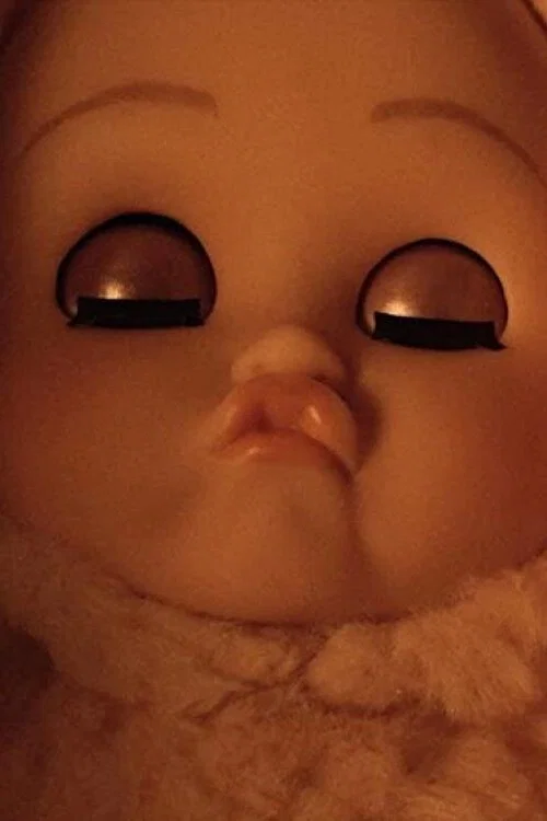 Постер: Life of a Doll