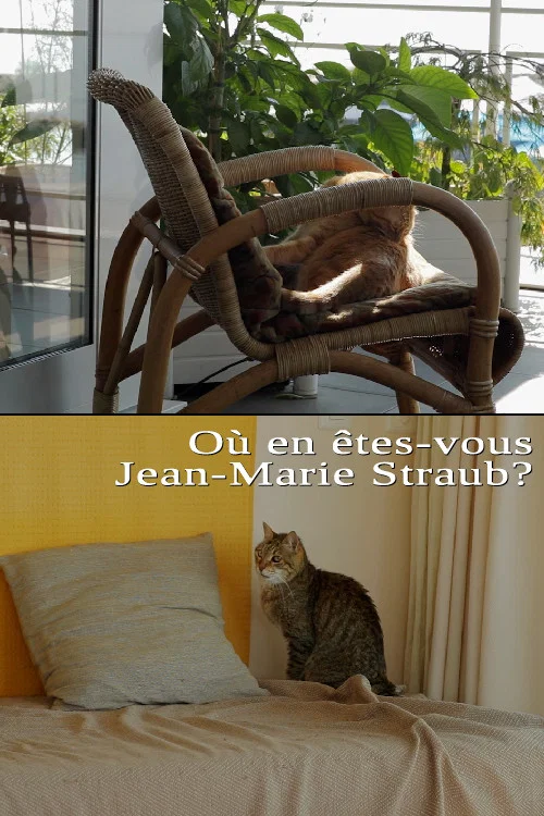 Постер: Où en êtes-vous: Jean-Marie Straub?