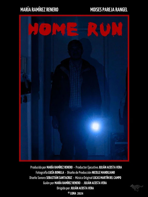 Постер: Home Run
