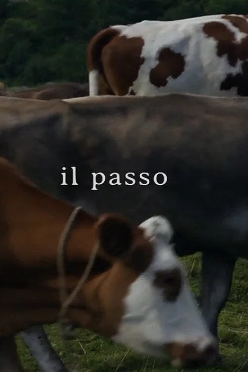 Постер: Il Passo