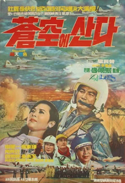 Постер: Changgonge sanda