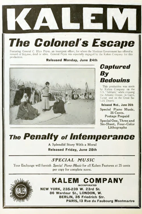 Постер: The Penalty of Intemperance