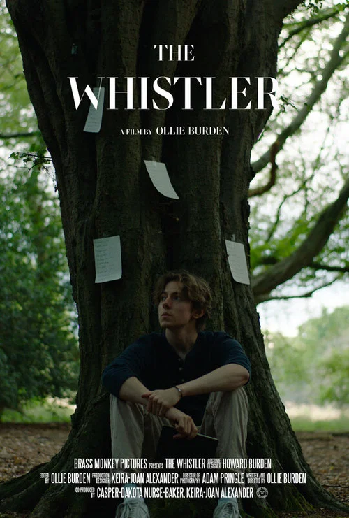 Постер: The Whistler