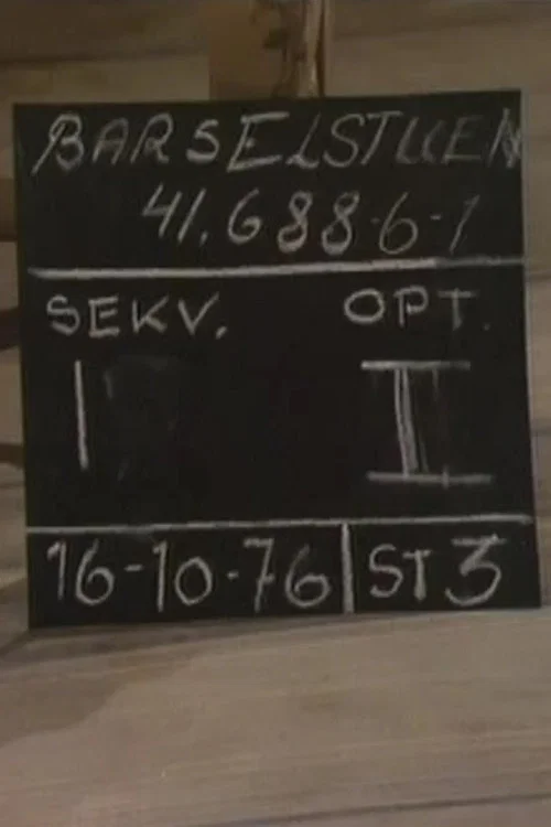 Постер: Barselstuen