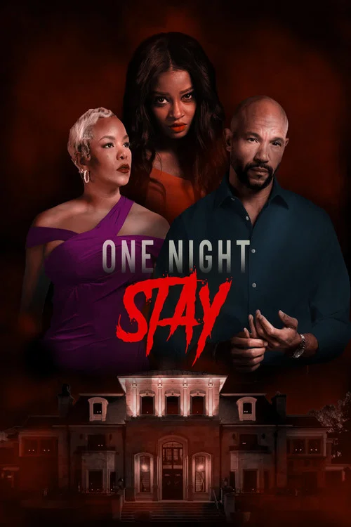 Постер: One Night Stay