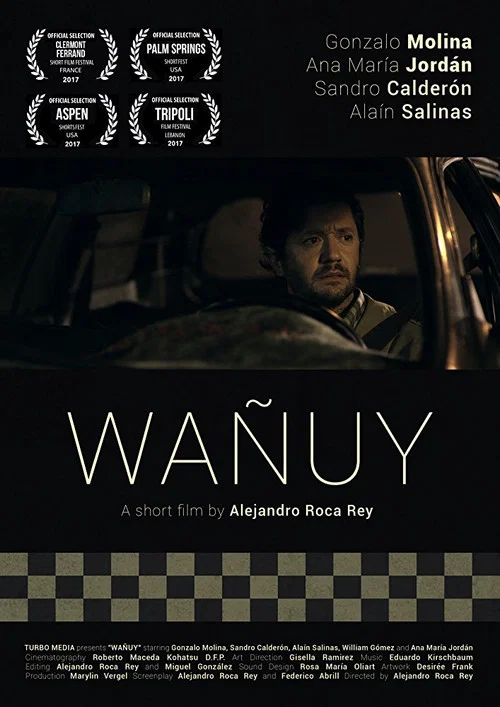 Постер: Wañuy