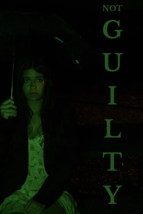 Постер: Not Guilty