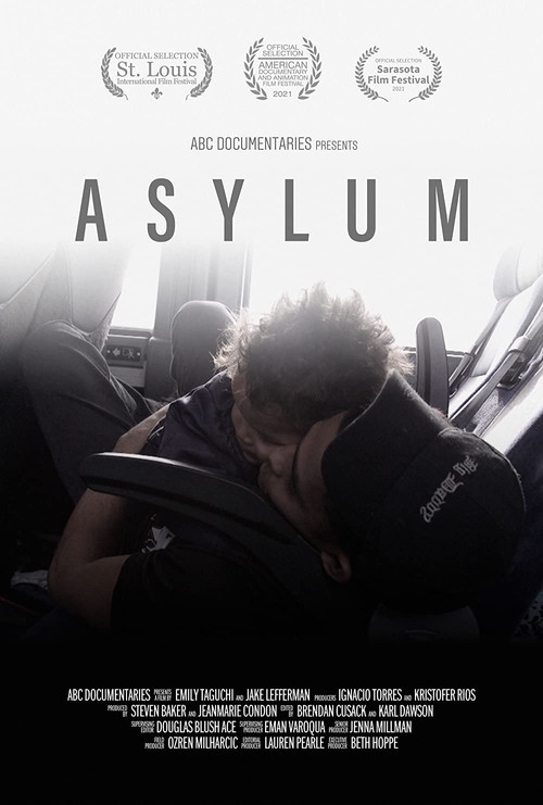 Постер: Asylum