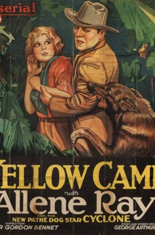 Постер: The Yellow Cameo