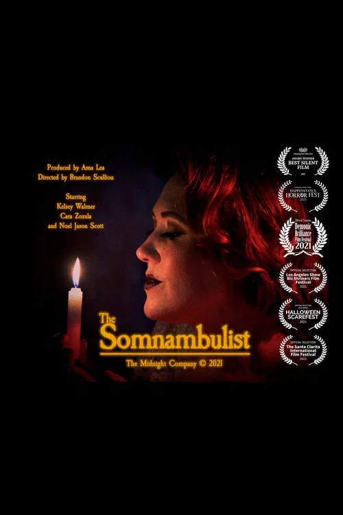 Постер: The Somnambulist