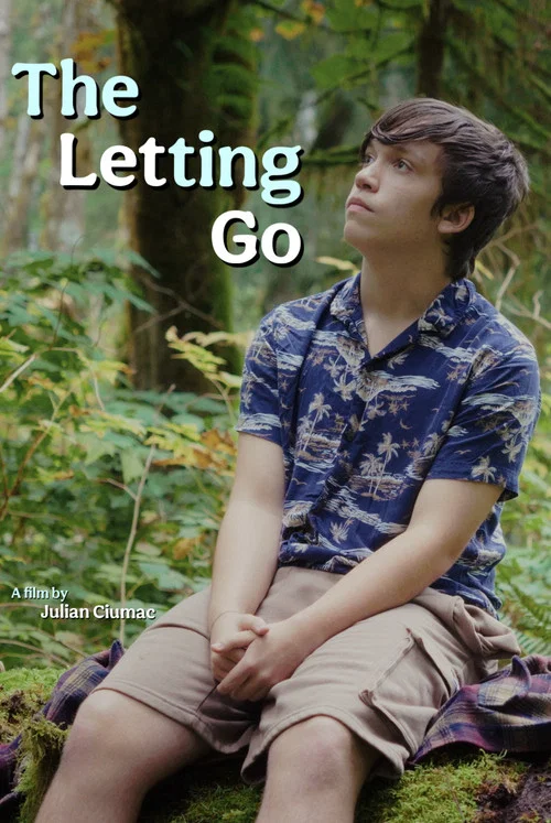 Постер: The Letting Go