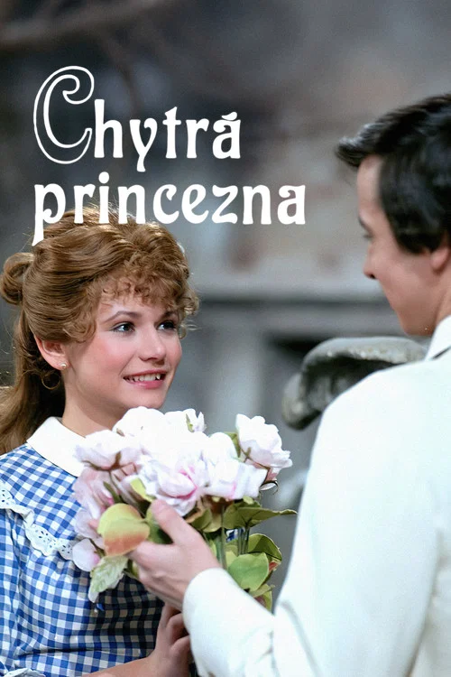 Постер: Chytrá princezna
