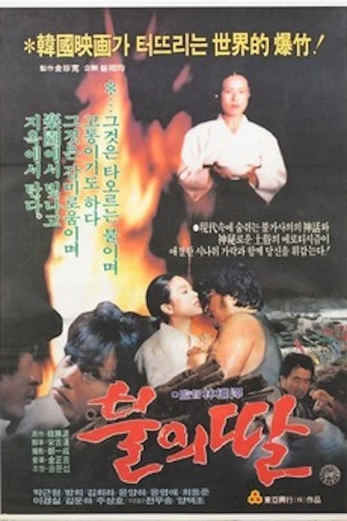 Постер: 불의 딸