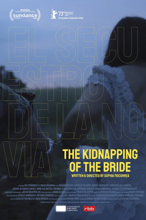 Постер: The Kidnapping of the Bride