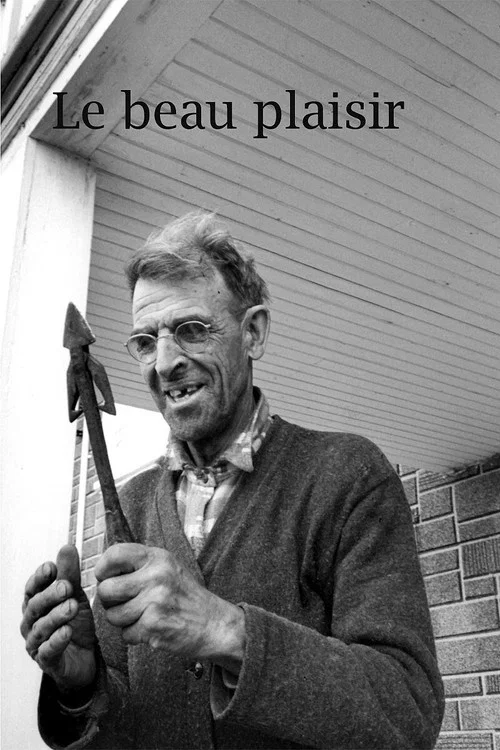 Постер: Le beau plaisir