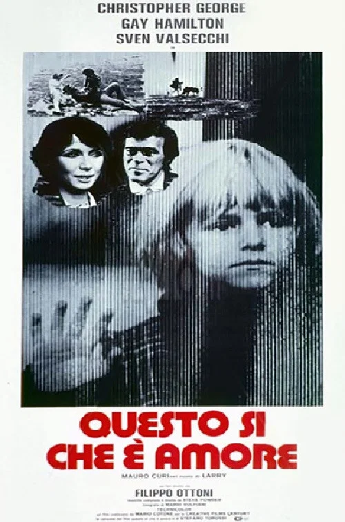 Постер: Questo sì che è amore