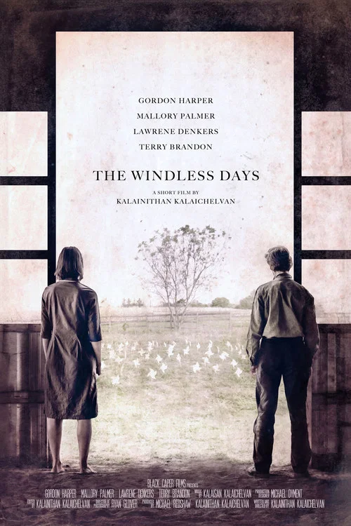 Постер: The Windless Days