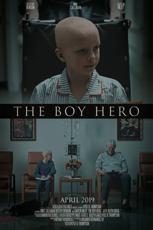 Постер: The Boy Hero