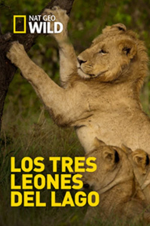 Постер: Leones