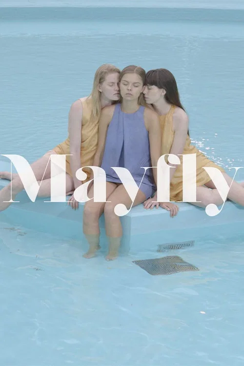 Постер: Mayfly