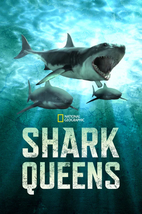 Постер: Shark Queens