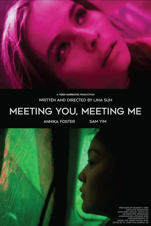 Постер: Meeting You, Meeting Me