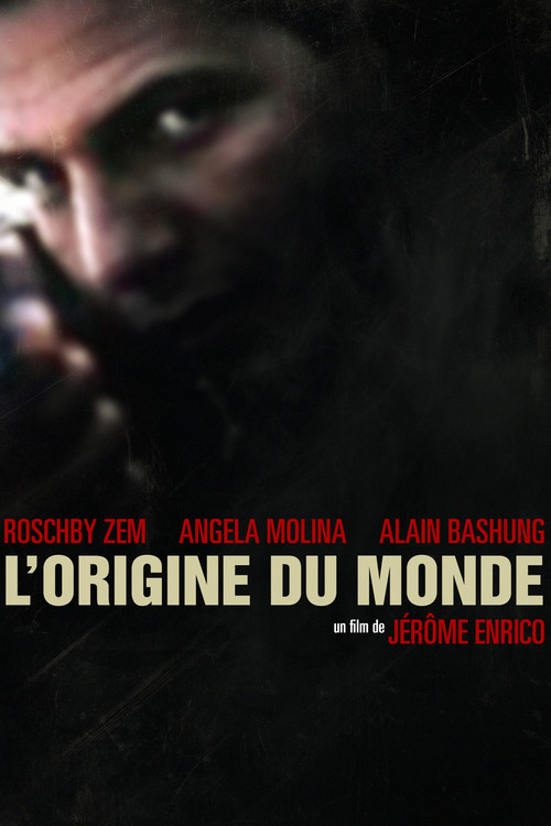 Постер: L'origine du monde
