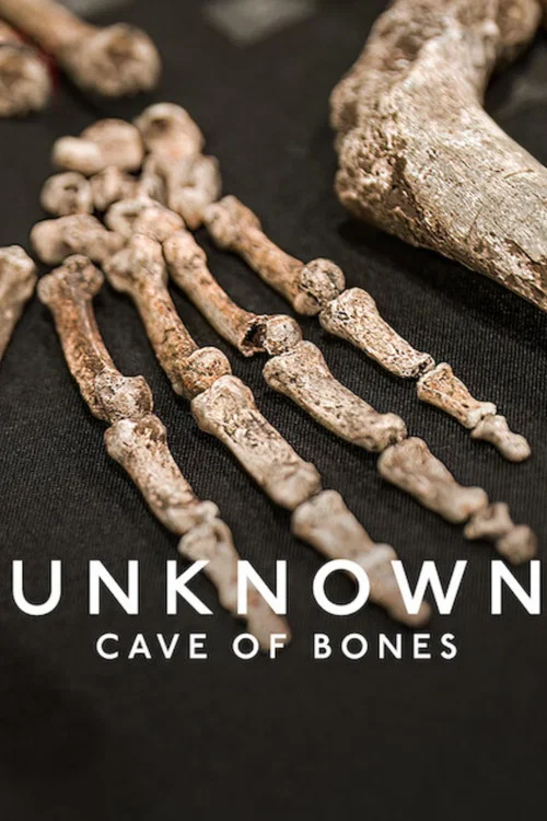 Постер: Unknown: Cave of Bones