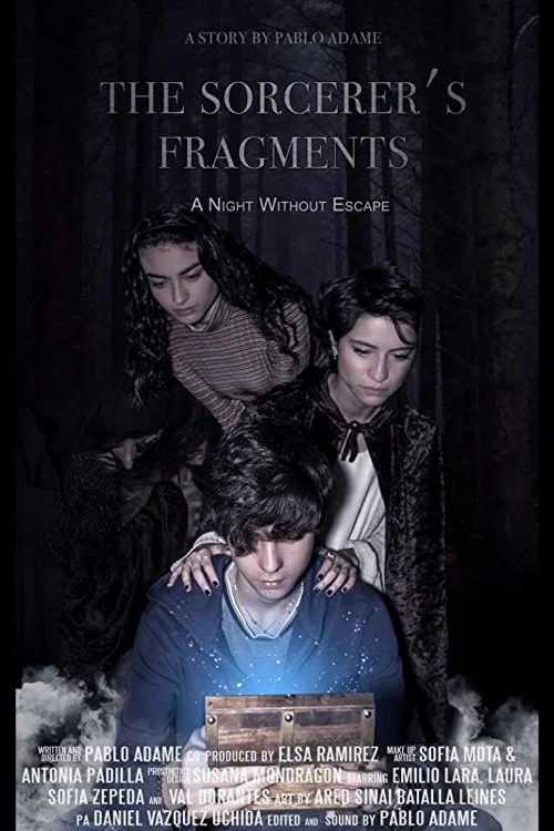 Постер: The Sorcerer's Fragments
