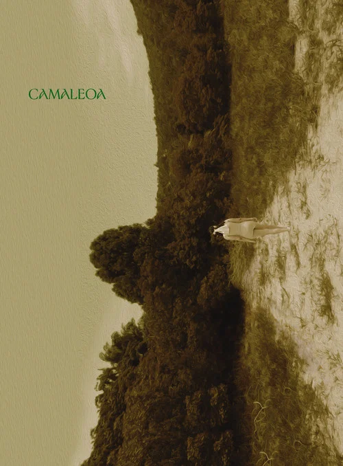 Постер: Camaleoa