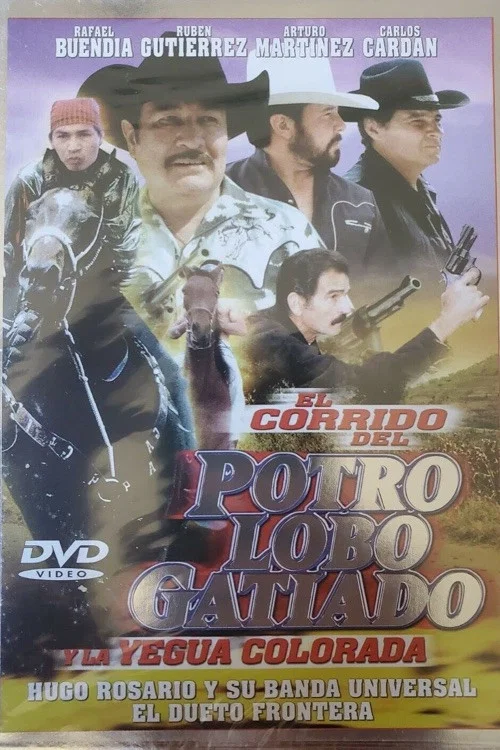 Постер: Corrido del potro lobo gatiado y la yegua colorada