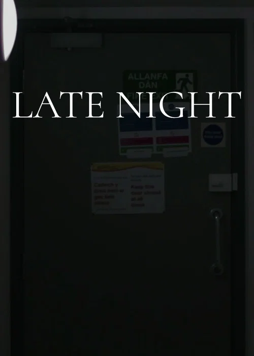 Постер: Late Night