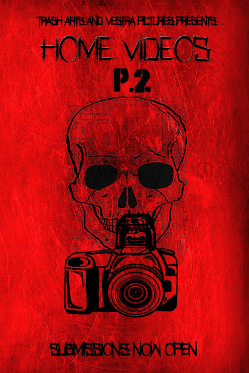Постер: Home Videos 2