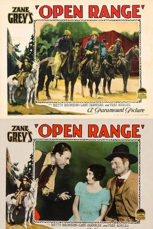 Постер: Open Range
