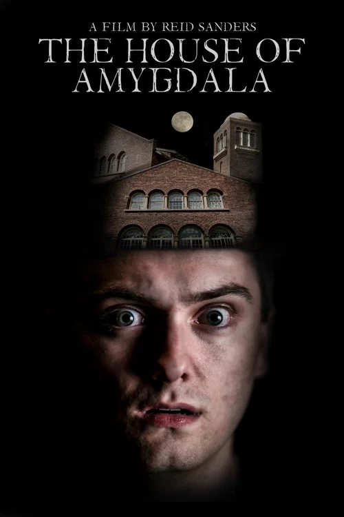 Постер: The House of Amygdala