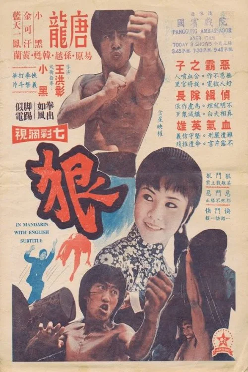 Постер: Qin xiong