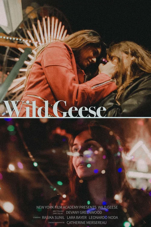 Постер: Wild Geese