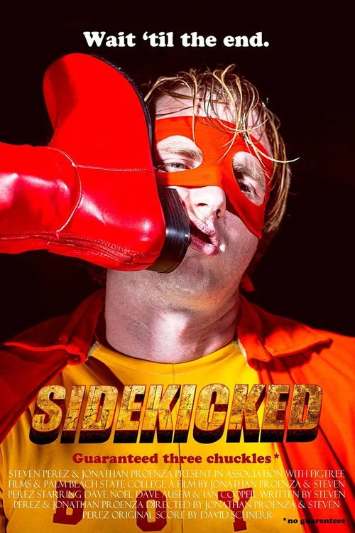 Постер: Sidekicked!