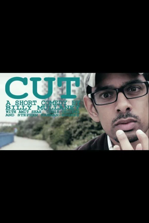 Постер: Cut