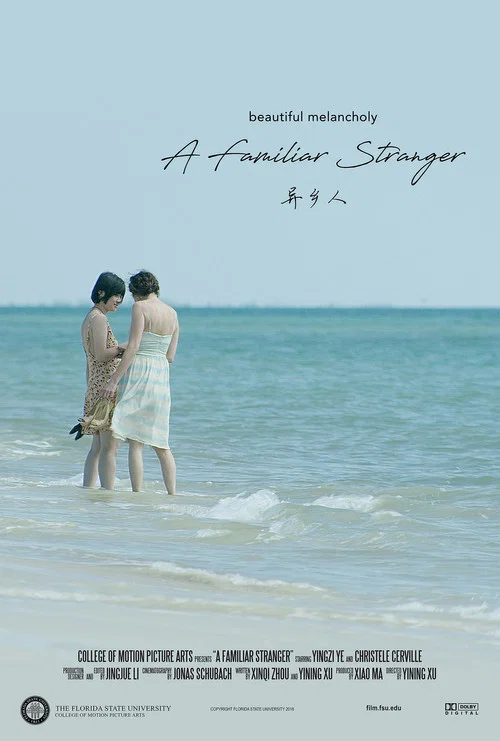 Постер: A Familiar Stranger