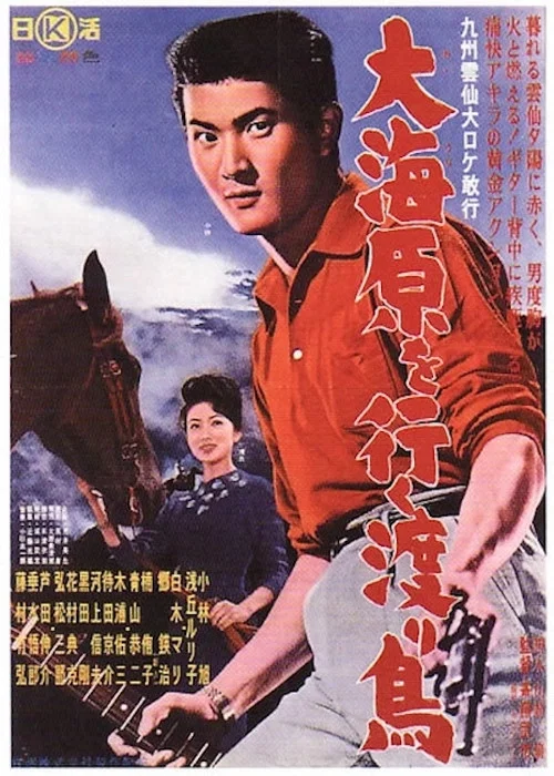 Постер: Ôunabara o yuku wataridori