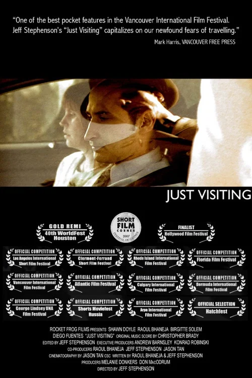 Постер: Just Visiting