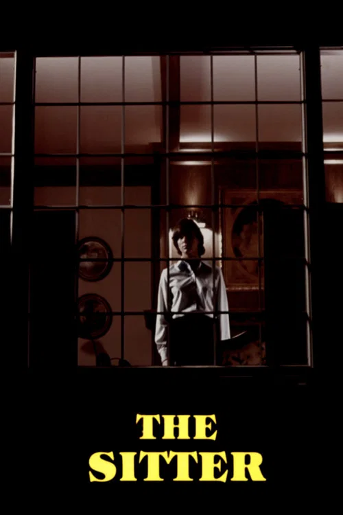Постер: The Sitter