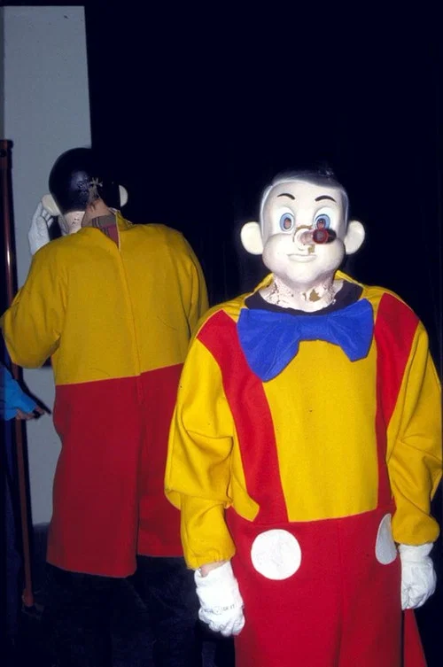 Постер: Pinocchio Pipenose Householddilemma